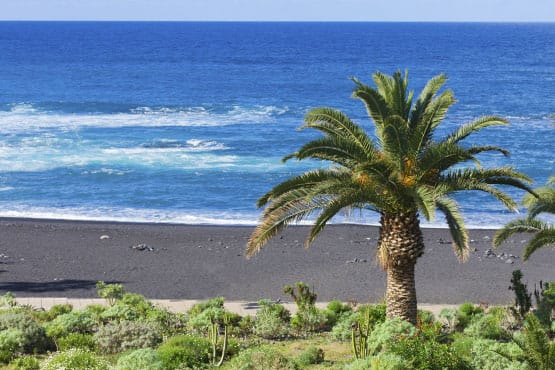Ihr maßgeschneiderter Teneriffa Transfer bei urlaubstransfers.de