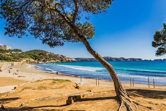 Transfer Palma De Mallorca Nach Cala Ratjada www.urlaubstransfers.de