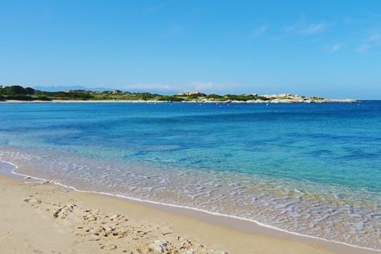 Shuttle, Taxi oder Minibus - Sie entscheiden!